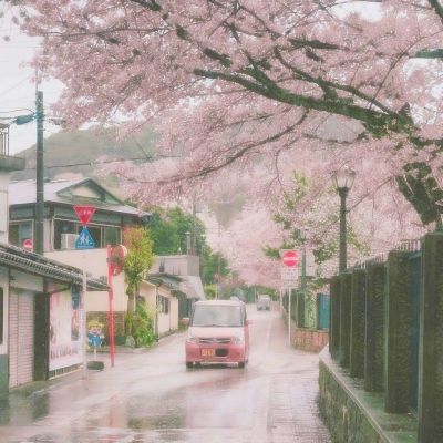 战斗圣佛正式版(暂未上线)v1.0.0 安卓版